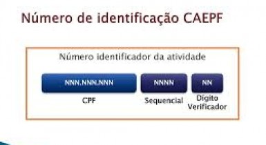 Receita Federal regulamenta o Cadastro de Atividade Econômica da Pessoa Física (CAEPF)