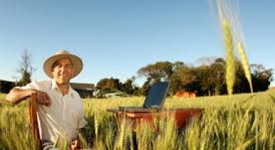 eSocial - Alterado o início da obrigatoriedade para o segurado especial e o pequeno produtor rural pessoa física
