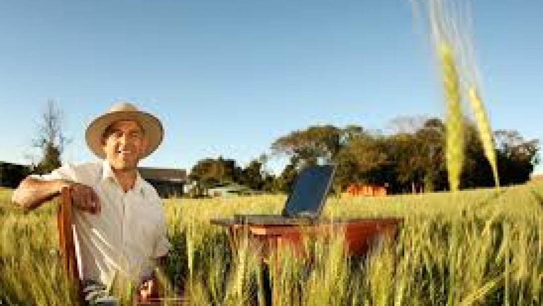 eSocial - Alterado o início da obrigatoriedade para o segurado especial e o pequeno produtor rural pessoa física